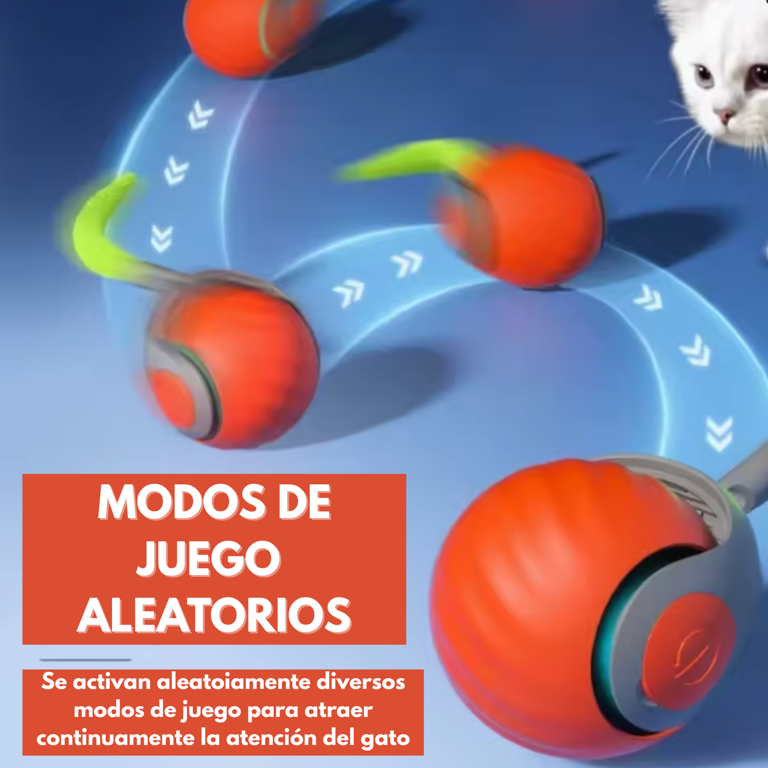 Auki Pets